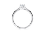 Thea Diamond Band Platinum Emerald Engagement Ring