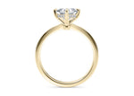 Starlight Compass Solitaire Yellow Gold 18k Princess Engagement Ring