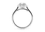 Minerva Halo Platinum Round Engagement Ring