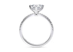 Asteria Compass Diamond Band Platinum Princess Engagement Ring