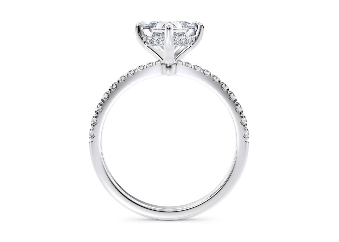 Asteria Compass Diamond Band Platinum Princess Engagement Ring