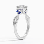 Willow Ring With Sapphire Accents Platinum Round Engagement Ring