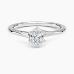 Delilah Twist Solitaire Ring Platinum Oval Engagement Ring