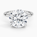 Fleur Solitaire Ring Platinum Round Engagement Ring