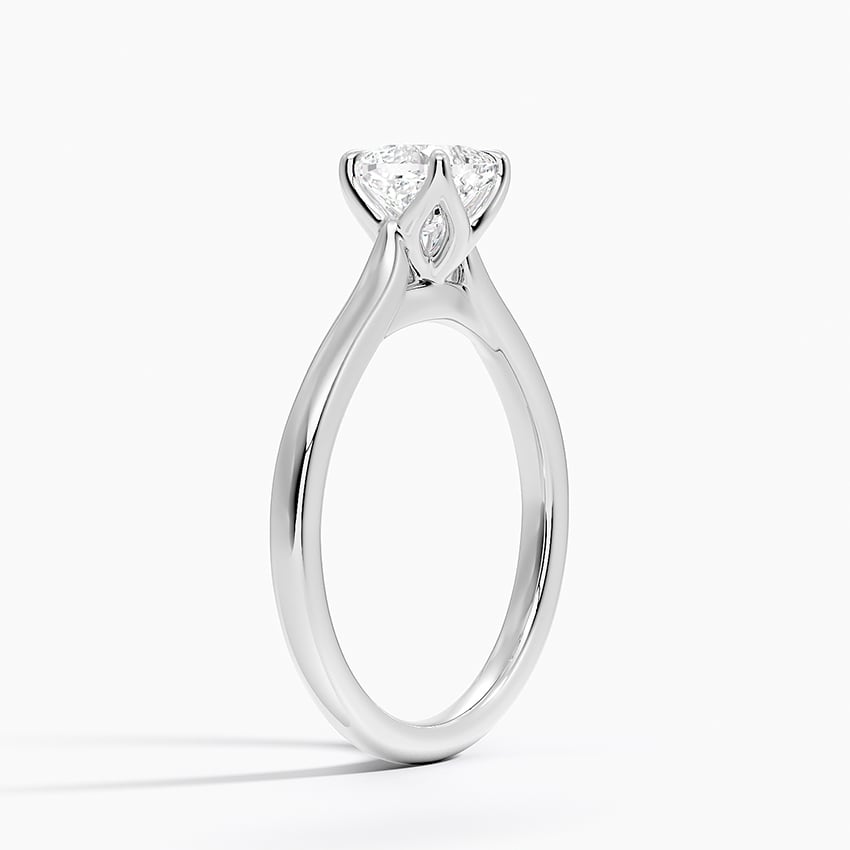 Elodie Cathedral Solitaire Ring Platinum Cushion Engagement Ring
