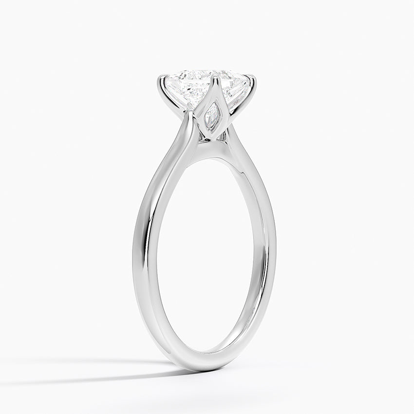 Elodie Cathedral Solitaire Ring Platinum Princess Engagement Ring