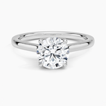 Elodie Cathedral Solitaire Ring Platinum Round Engagement Ring