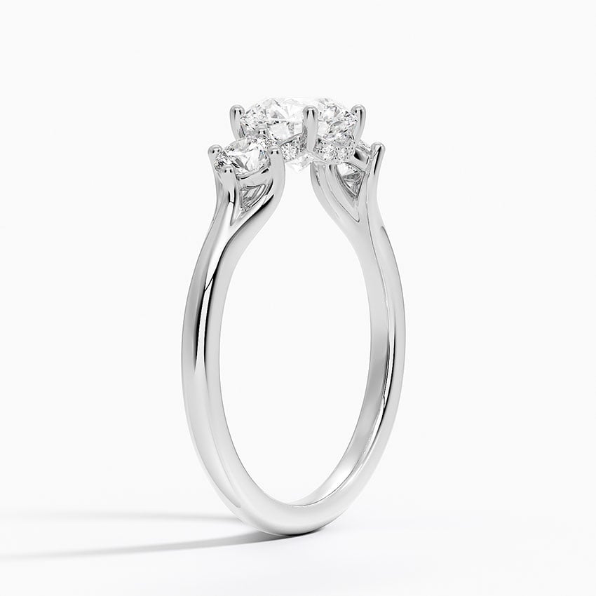 Luxe Floating Three Stone Diamond Ring (1/3 ct. tw.) Platinum Round Engagement Ring