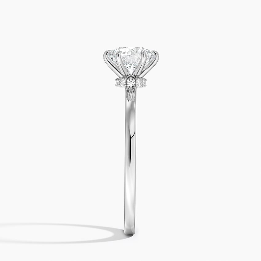Secret Halo Six-Prong Diamond Ring Platinum Round Engagement Ring