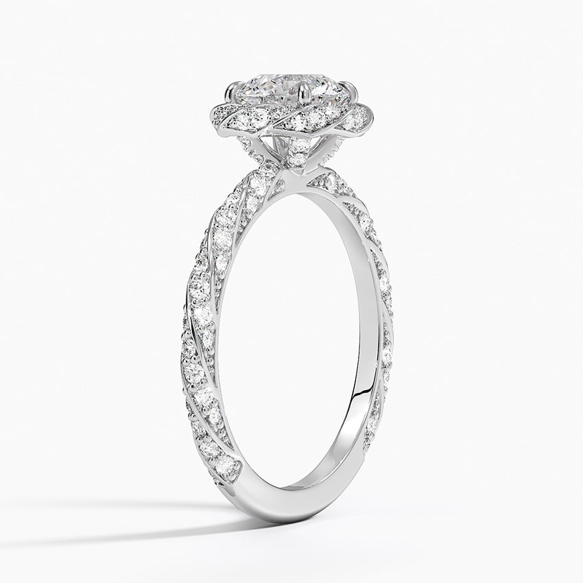 Nova Halo Diamond Ring (1/2 ct. tw.) Platinum Round Engagement Ring