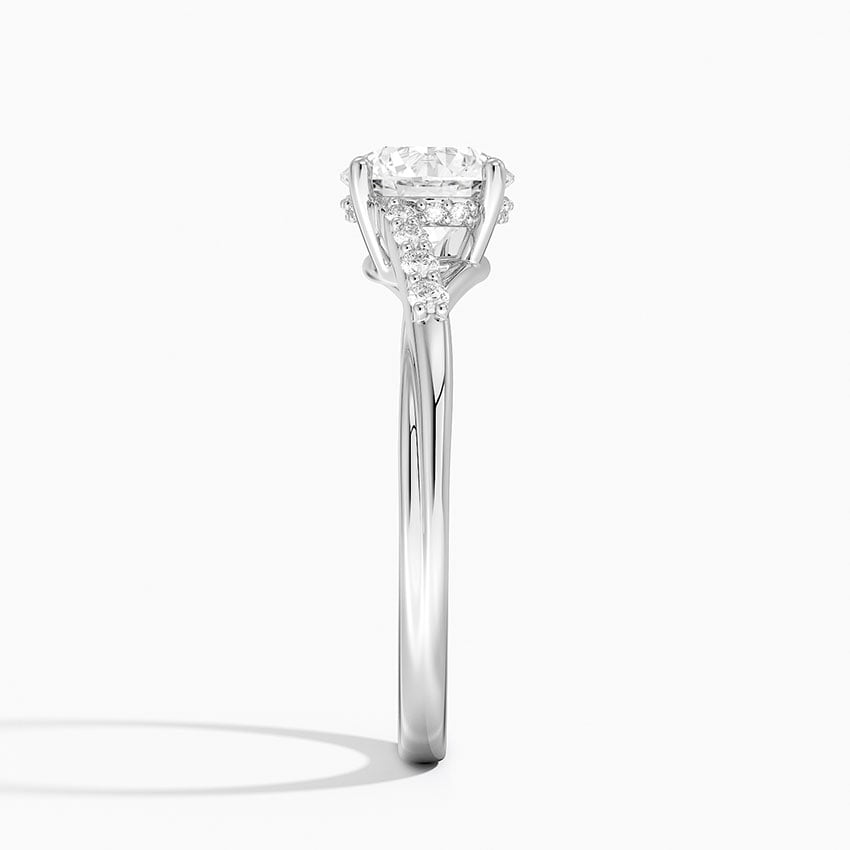 Chamise Hidden Halo Diamond Ring Platinum Round Engagement Ring