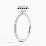 Waverly Halo Diamond Ring with Black Diamond Accents Platinum Round Engagement Ring