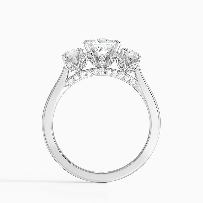 Petal Three Stone Diamond Ring (2/3 ct. tw.) Platinum Princess Engagement Ring