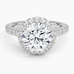 Sienna Halo Three-Quarter Coverage Diamond Ring (3/4 ct. tw.) Platinum Round Engagement Ring