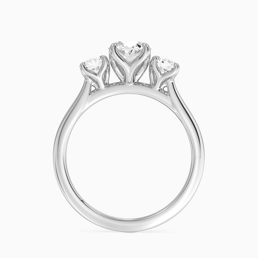 Elodie Perfect Fit Three Stone Diamond Ring (1/2 ct. tw.) Platinum Oval Engagement Ring
