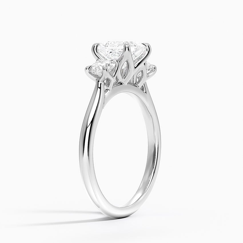 Elodie Perfect Fit Three Stone Diamond Ring (1/2 ct. tw.) Platinum Princess Engagement Ring