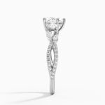 Luxe Willow Three Stone Diamond Ring (1/2 ct. tw.) Platinum Heart Engagement Ring