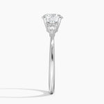 Nadia Diamond Ring Platinum Round Engagement Ring
