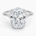 Aimee Hidden Halo Diamond Ring Platinum Oval Engagement Ring