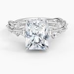 Secret Garden Diamond Ring (1/2 ct. tw.) Platinum Radiant Engagement Ring