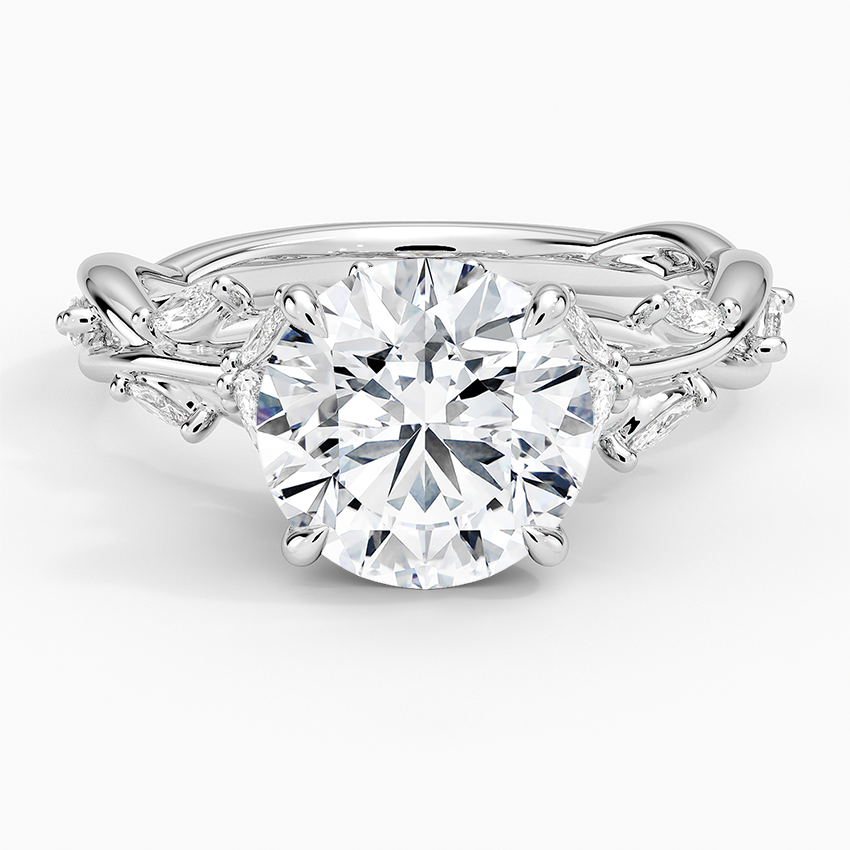 Secret Garden Diamond Ring (1/2 ct. tw.) Platinum Round Engagement Ring