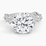 Luxe Secret Garden Diamond Ring (3/4 ct. tw.) Platinum Round Engagement Ring