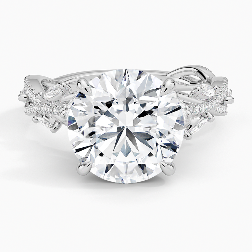 Luxe Secret Garden Diamond Ring (3/4 ct. tw.) Platinum Round Engagement Ring