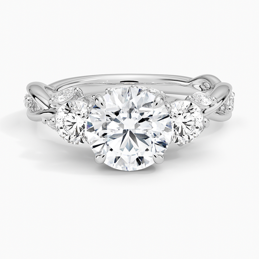 Secret Garden Three Stone Diamond Ring (3/4 ct. tw.) Platinum Round Engagement Ring