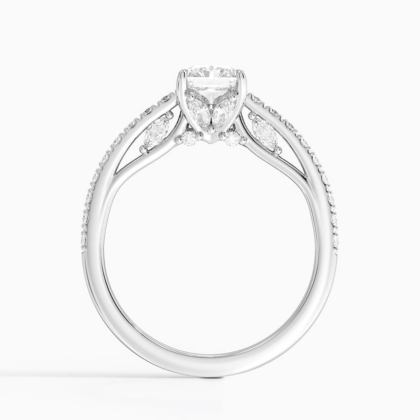 Secret Garden Adorned Gallery Diamond Ring (1/2 ct. tw.) Platinum Radiant Engagement Ring