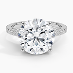Secret Garden Adorned Gallery Diamond Ring (1/2 ct. tw.) Platinum Round Engagement Ring