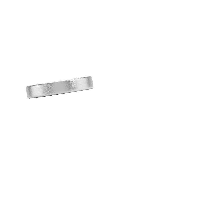 Mojave Matte Slim Profile 4mm Wedding Ring Platinum Wedding Band