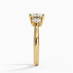 Petite Three Stone Trellis Diamond Ring (1/3 ct. tw.) Yellow Gold 18k Princess Engagement Ring