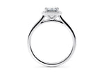 Minerva Halo Platinum Emerald Engagement Ring